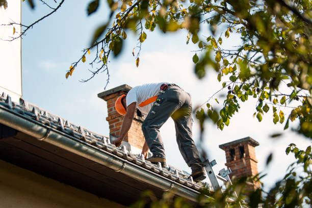 Best Residential Roofing Contractor  in Grenada, MS