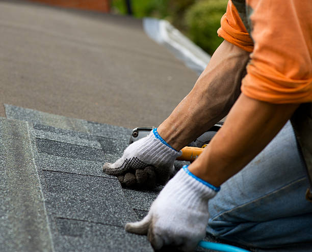 Best Roof Maintenance Services  in Grenada, MS